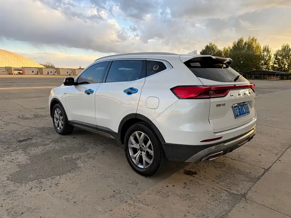 Haval H6 — миниатюра 8