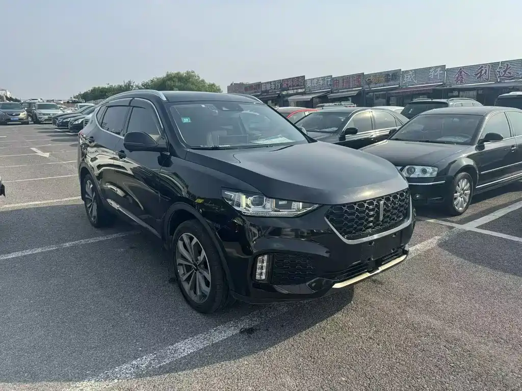 Wey Wey VV6 — миниатюра 3