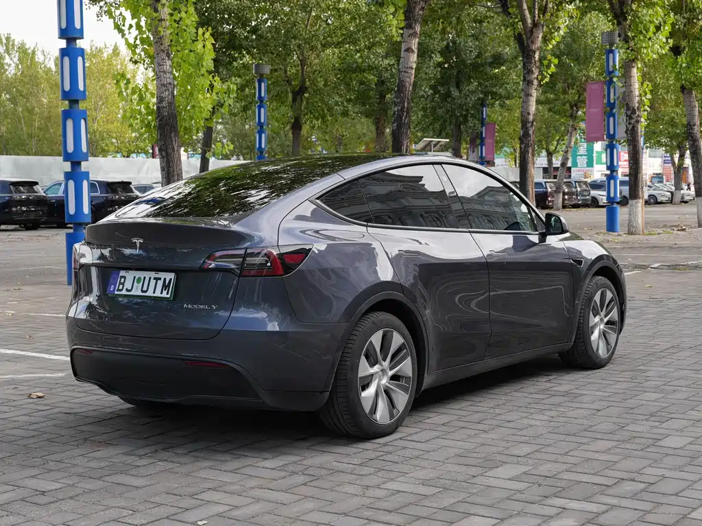 Tesla Model Y — миниатюра 5