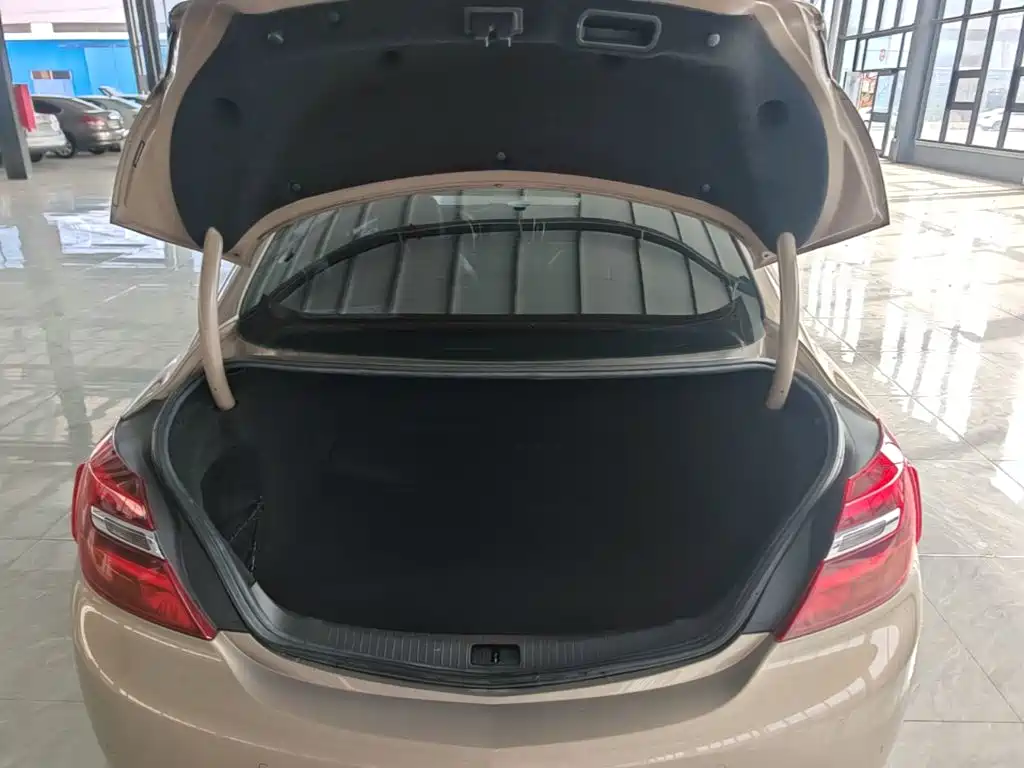 Buick Regal — миниатюра 19