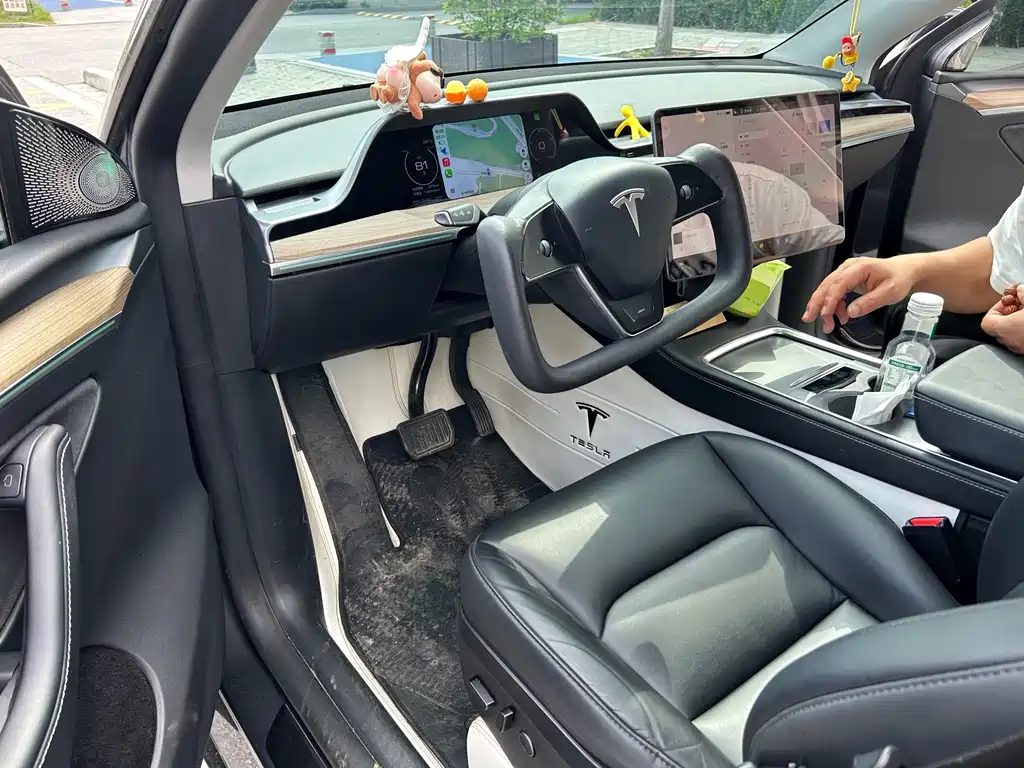 Tesla Model Y — миниатюра 4