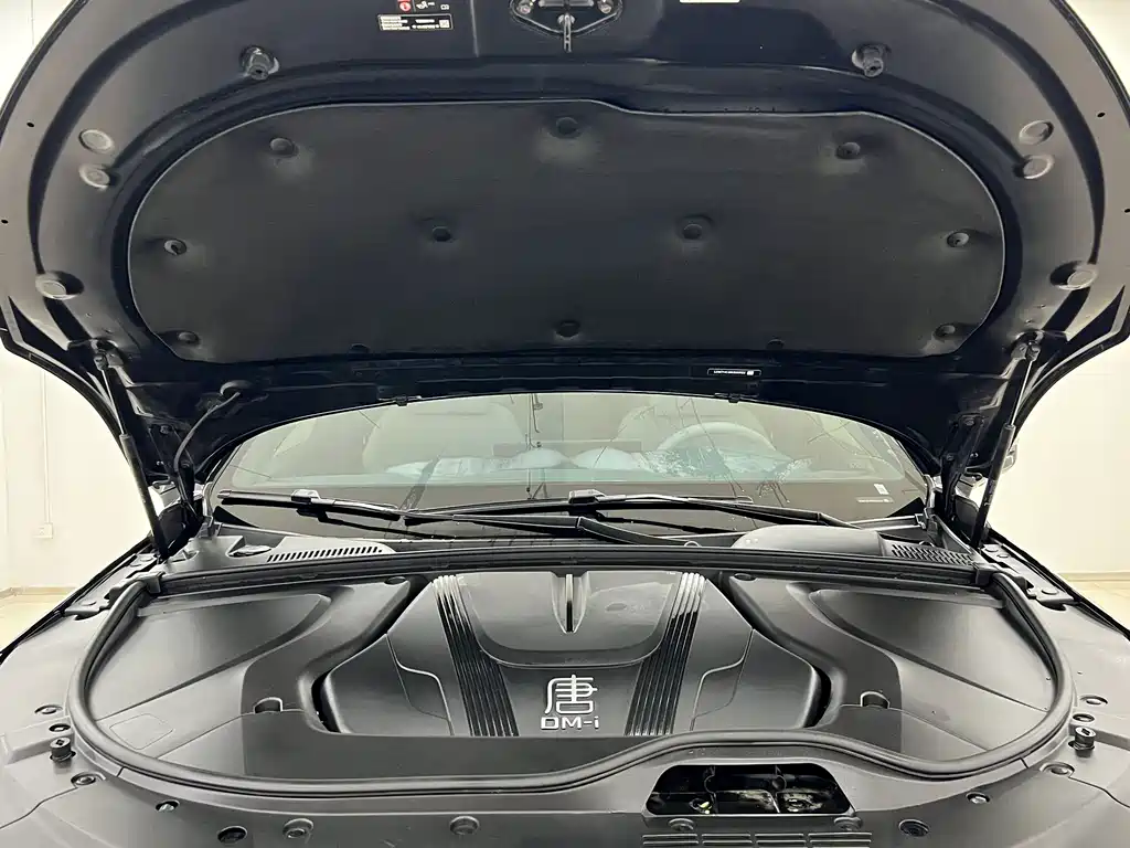 BYD Tang New Energy — миниатюра 18