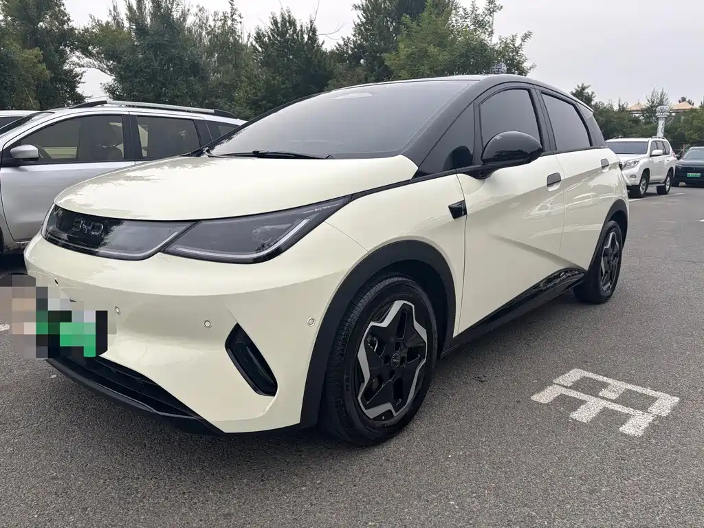 BYD Dolphin