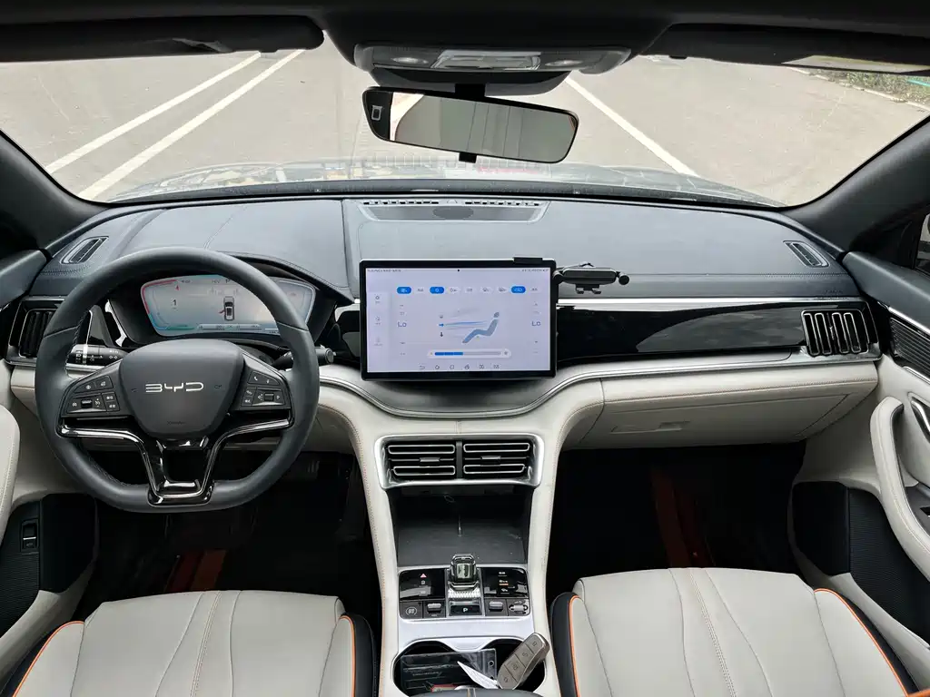 BYD PLUS New Energy — миниатюра 19