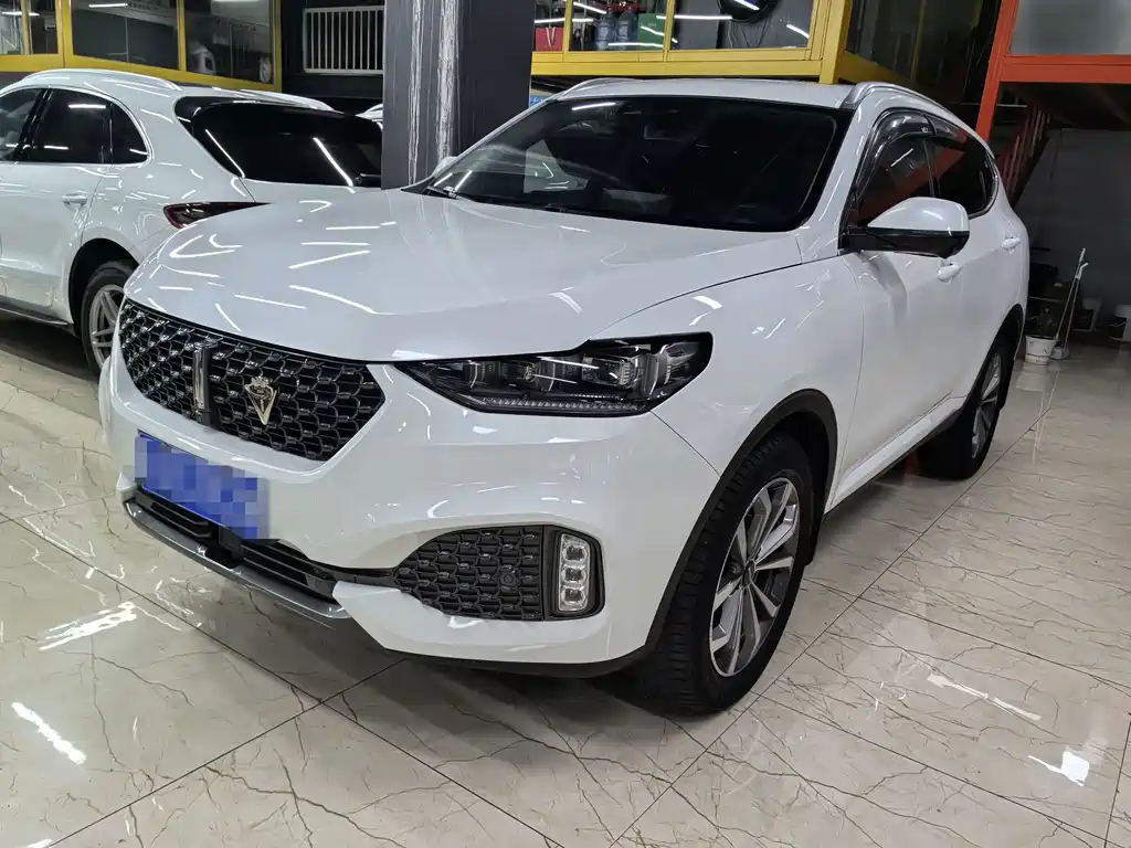 Wey Wey VV6