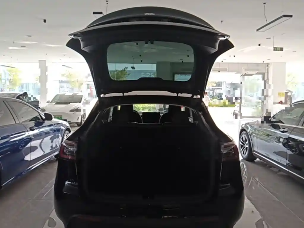 Tesla Model Y — миниатюра 19
