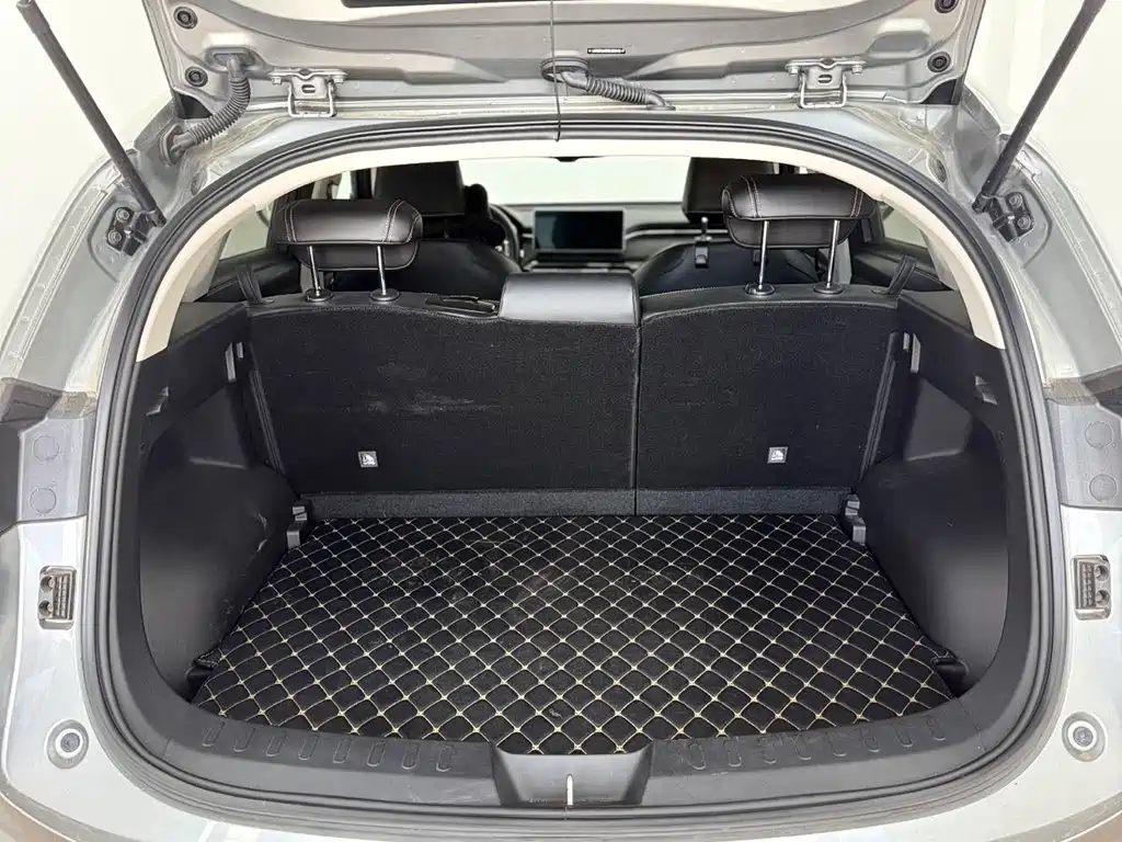 Haval Chitu — миниатюра 10