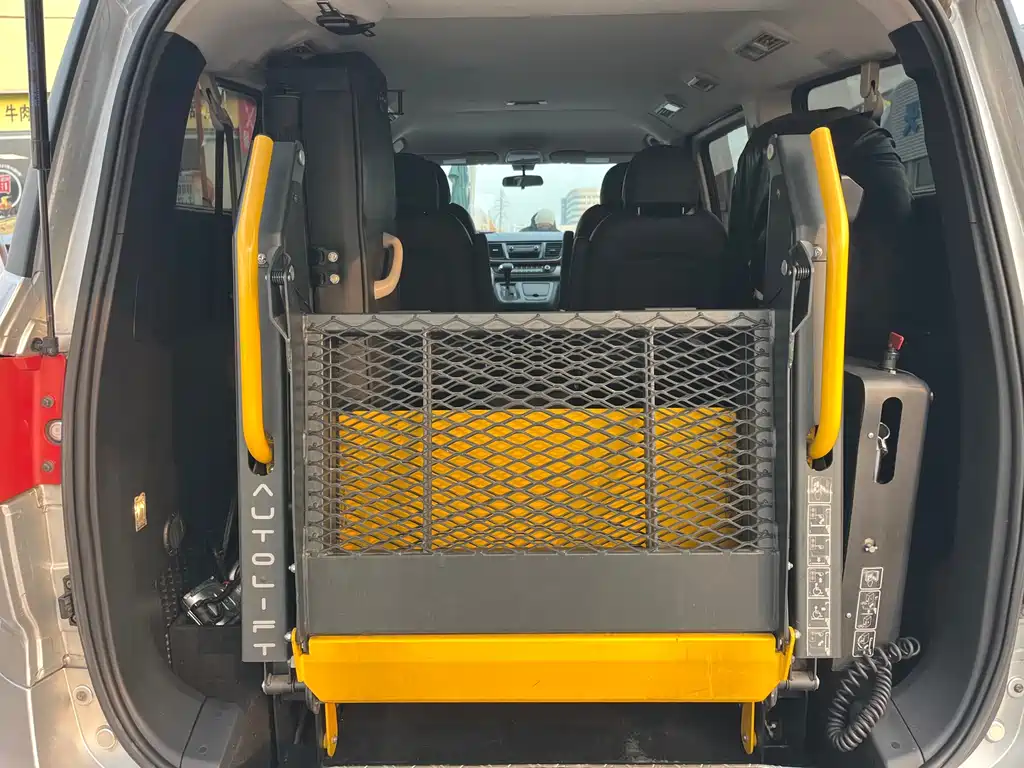 SAIC MAXUS CHASE G10