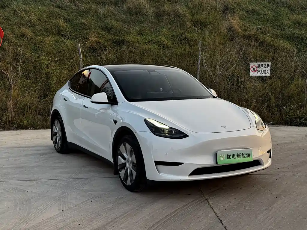 Tesla Model Y — миниатюра 3