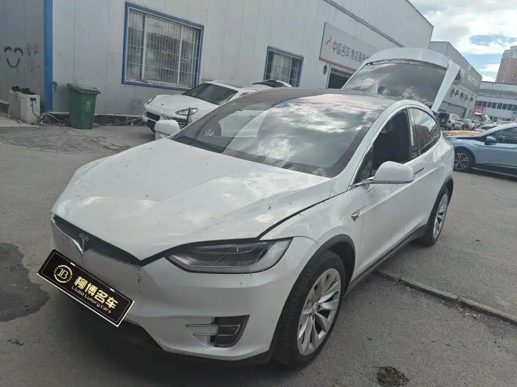 Tesla Model X 2017 Model X 100D Long Range Edition