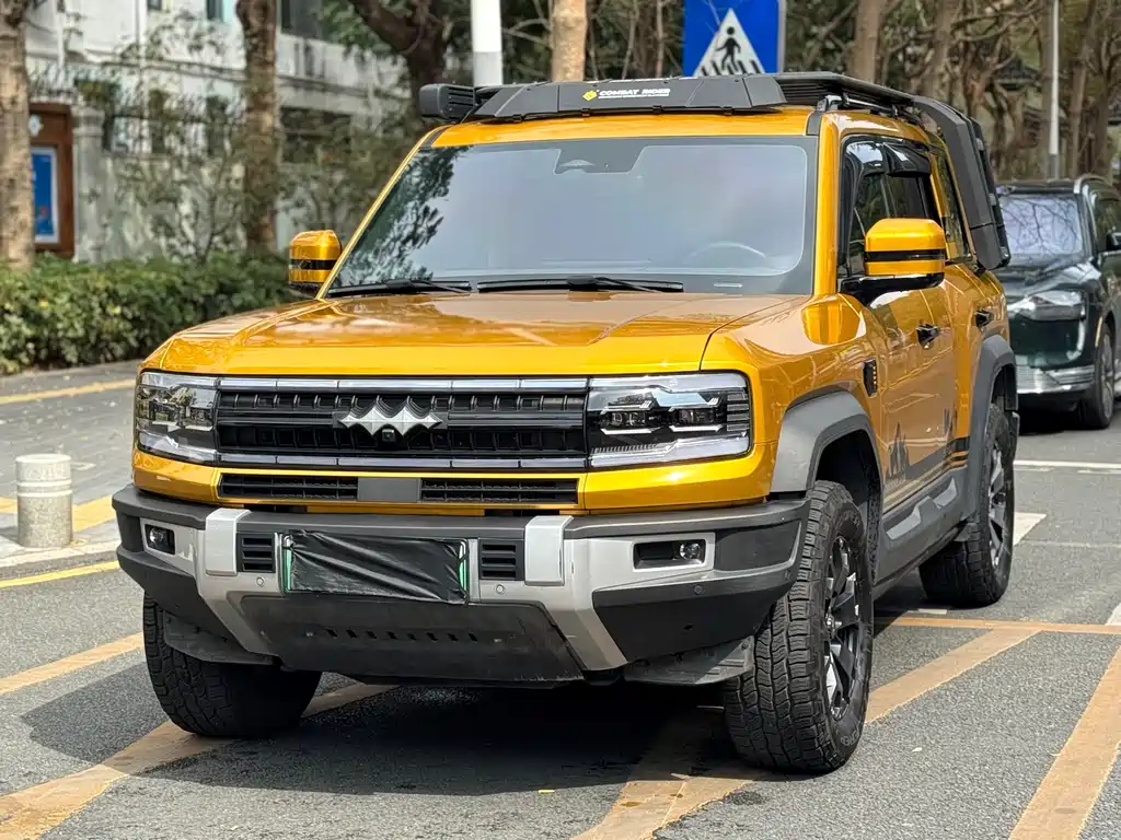 FANG CHENG BAO LEOPARD 5