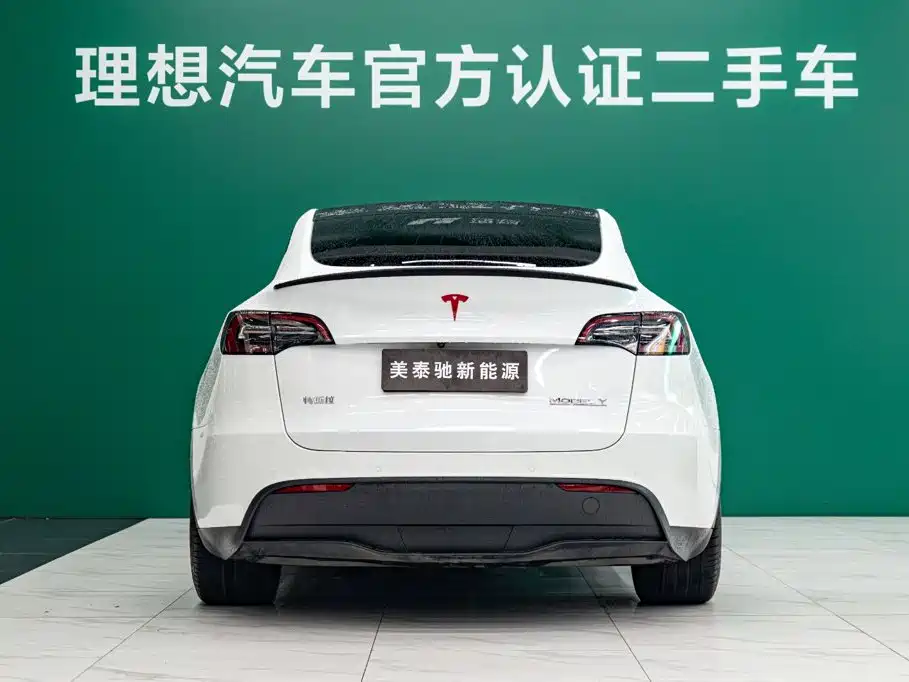 Tesla Model Y — миниатюра 3