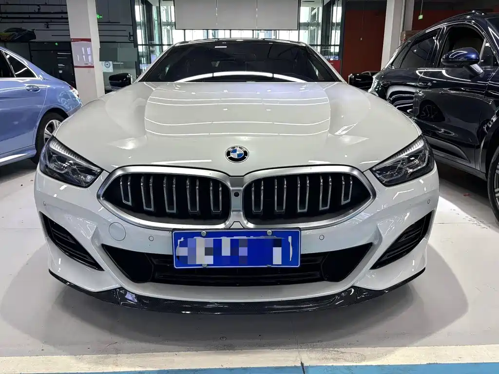 BMW 8 SERIES