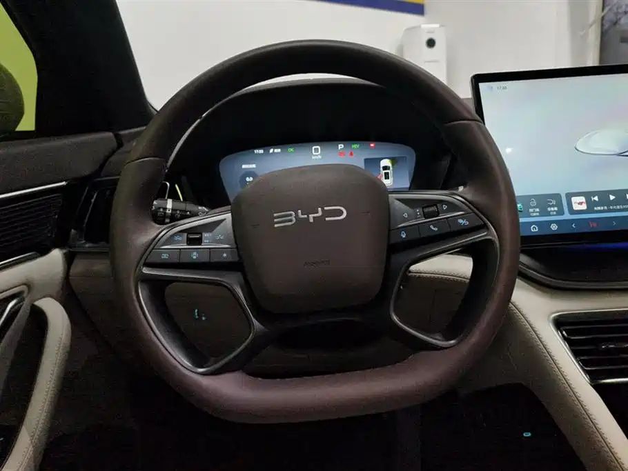 BYD SONGJIANG NEW ENERGY