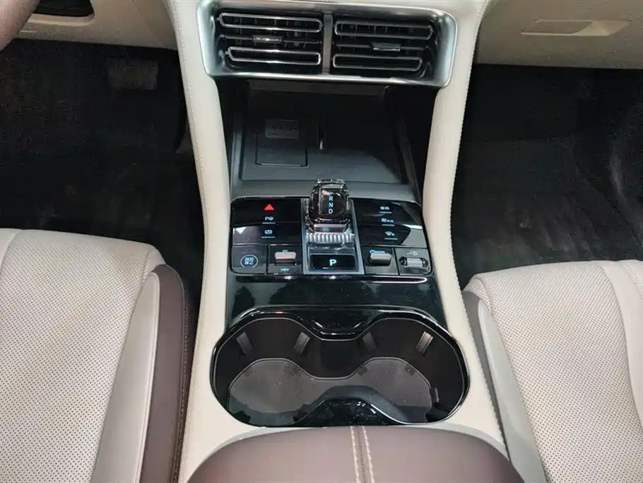 BYD SONGJIANG NEW ENERGY