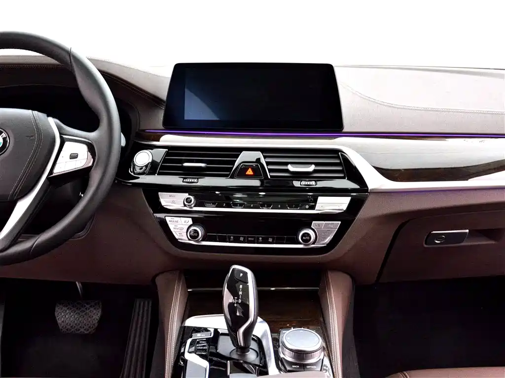 BMW 5 Series 5 2019 525Li Luxury