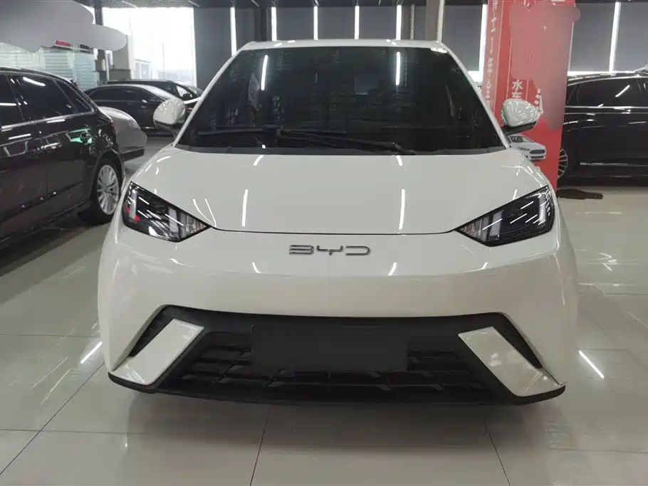 BYD Seagull 2024 305km Freedom