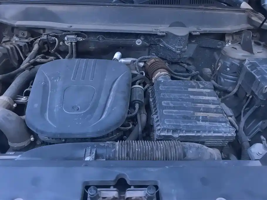 HAVAL RAPTORS NEW ENERGY