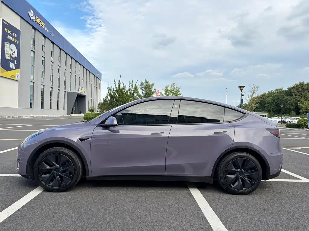 Tesla Model Y — миниатюра 3