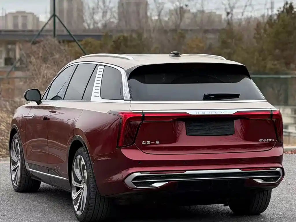 Hongqi HONGQI E HS9