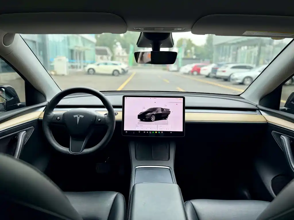 Tesla Model Y — миниатюра 9