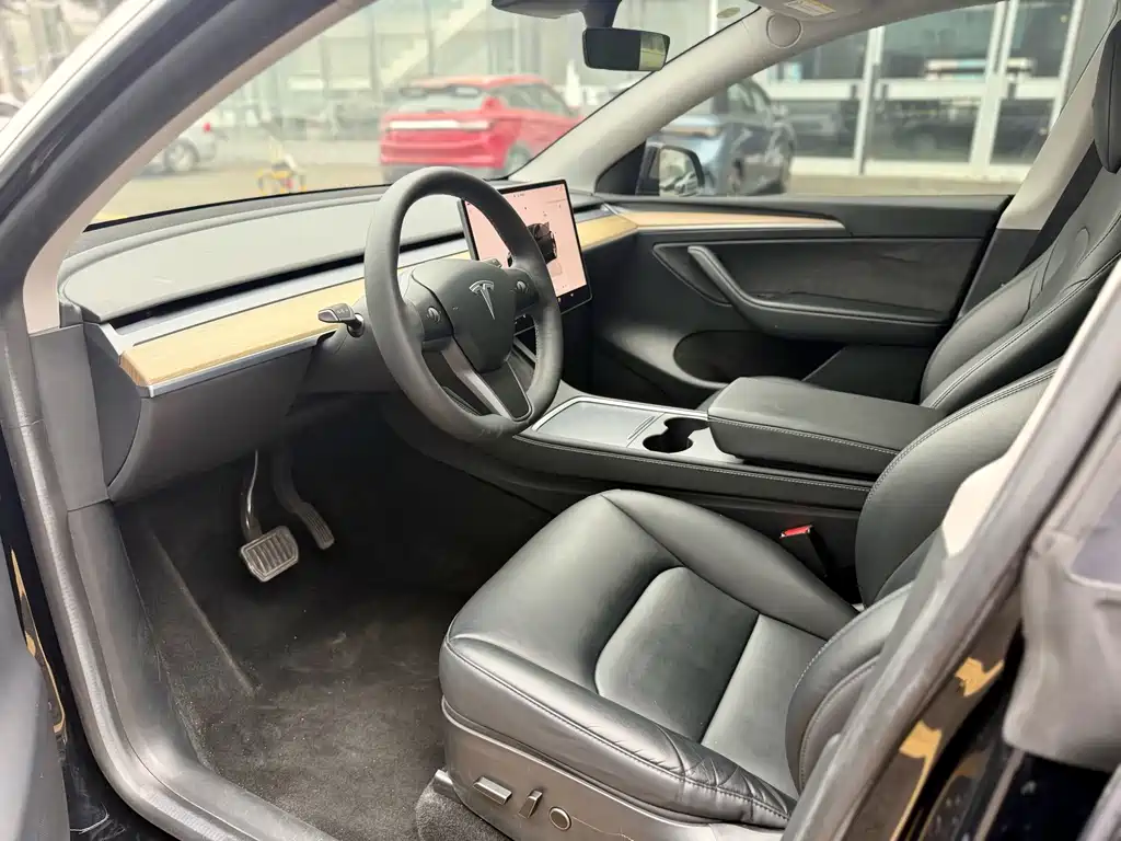 Tesla Model Y — миниатюра 10