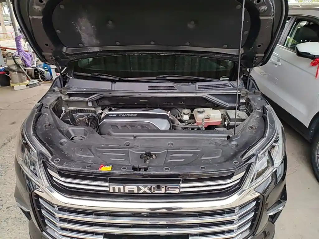 MAXUS G50 — миниатюра 16