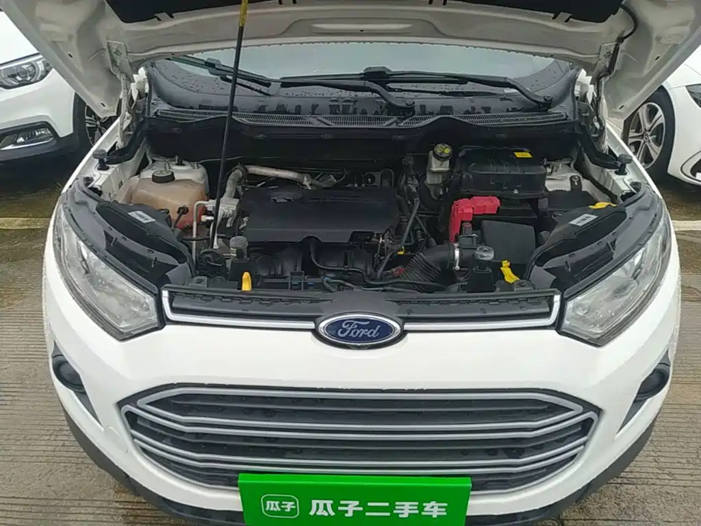 Ford Ecosport — миниатюра 20
