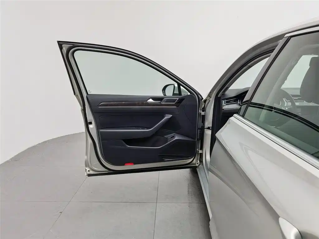 Volkswagen Magotan 2019 330TSI DSG Luxury VI