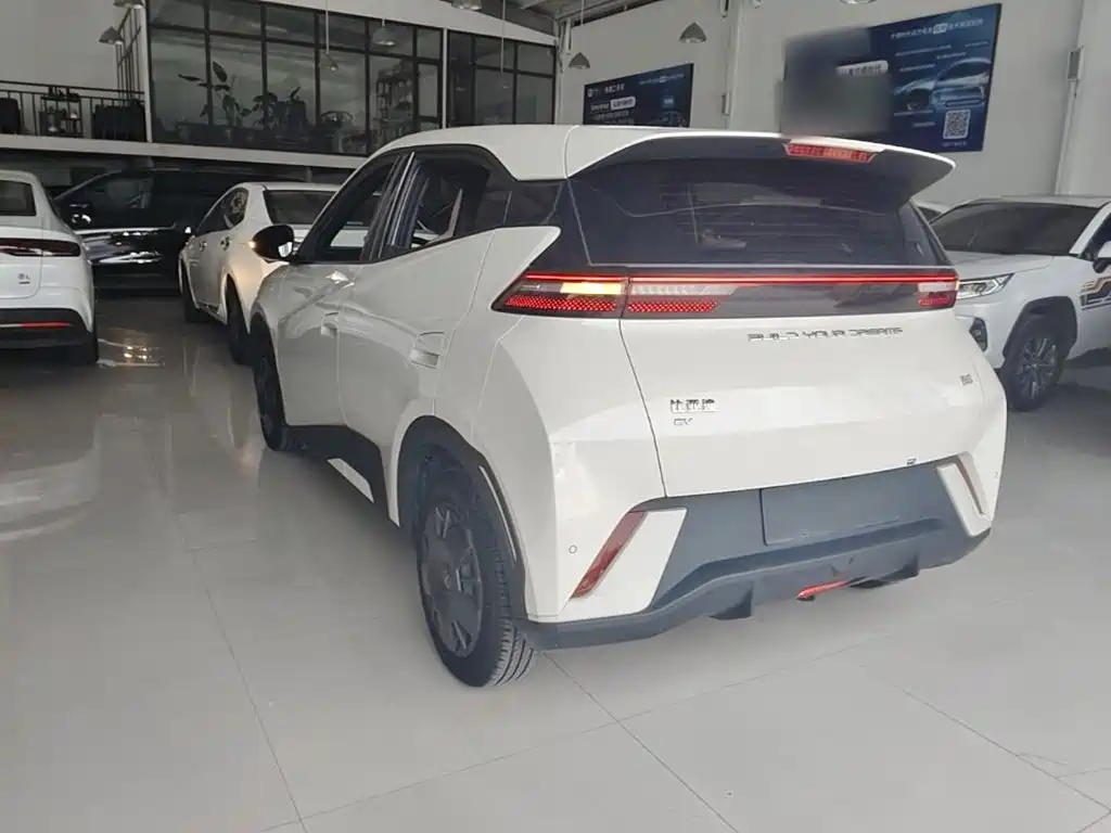 BYD Seagull 2024 305km