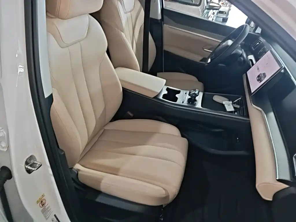 BYD Song Pro DM-i 2025 — фото 24