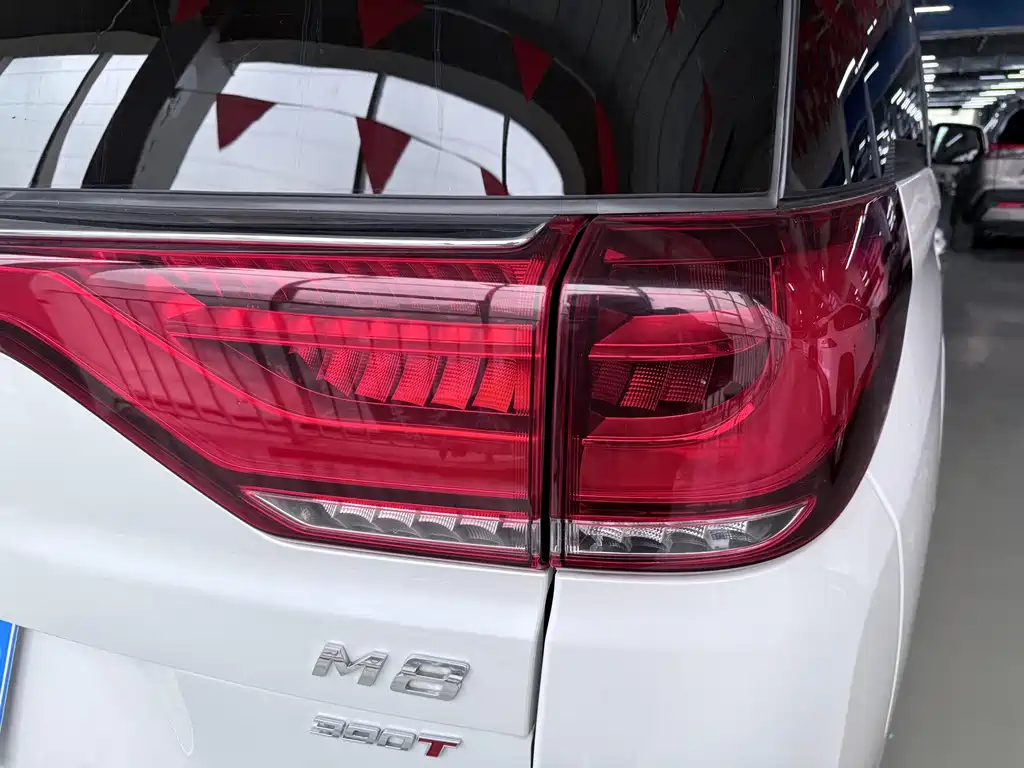 GAC Motor Trumpchi M8 - фото 19