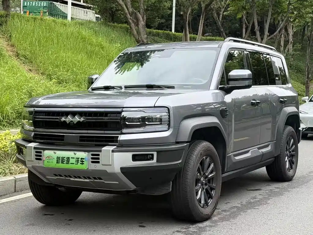 FANG CHENG BAO LEOPARD 5