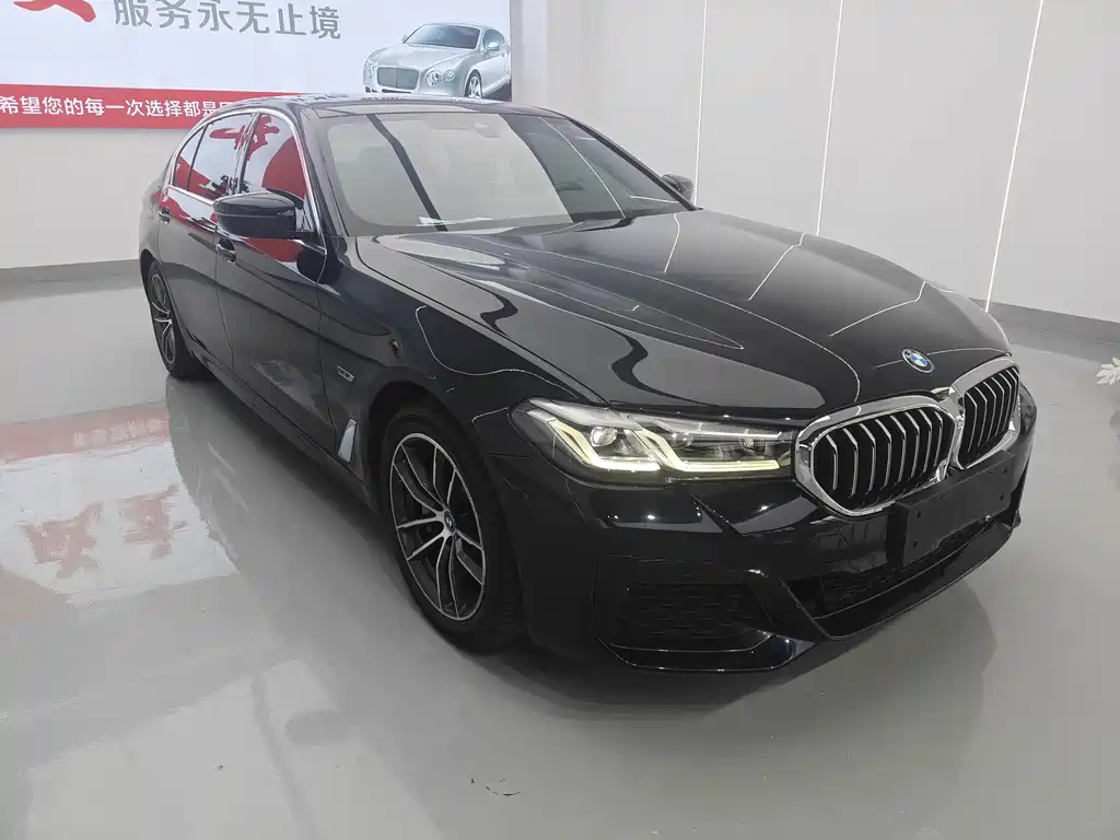 BMW 5 Series New Energy — миниатюра 3
