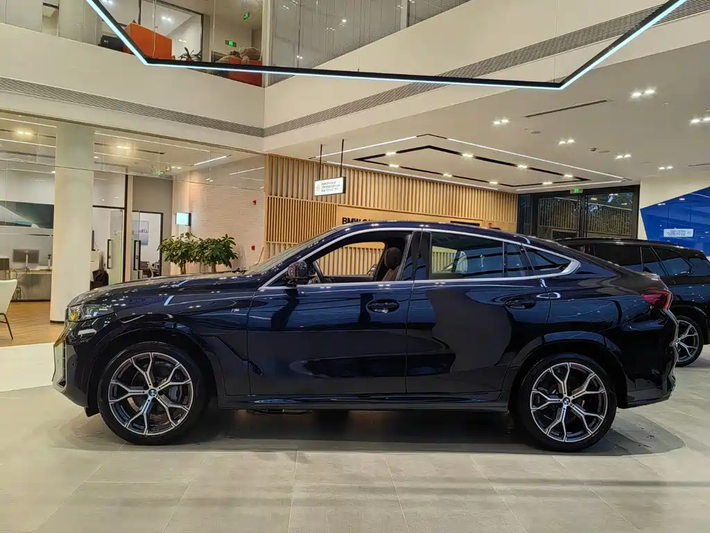 BMW X6 — миниатюра 3
