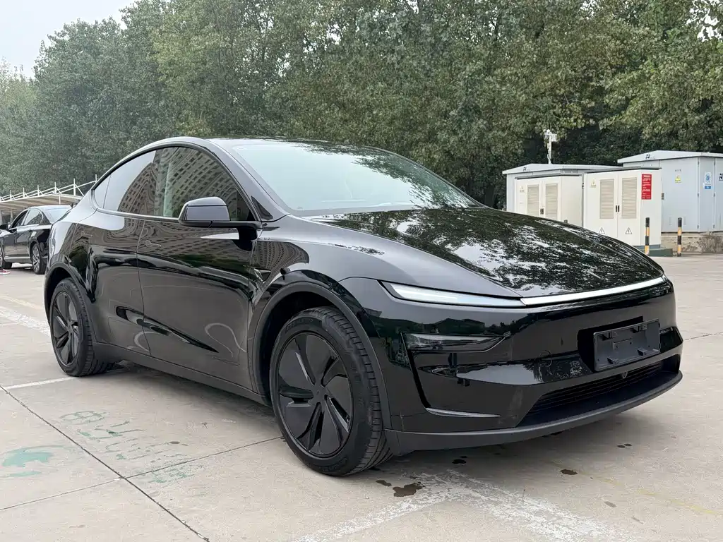 Tesla Model Y — миниатюра 3