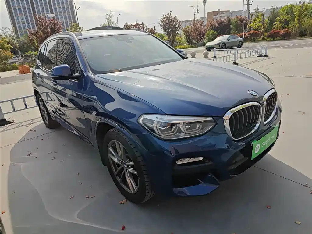 BMW X3 2018 xDrive25i M Sport VI