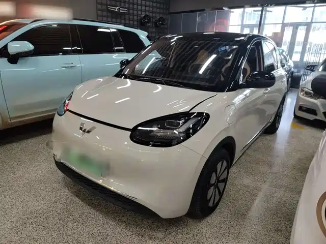 WULING AUTOMOBILE WULING BINGGUO 2024
