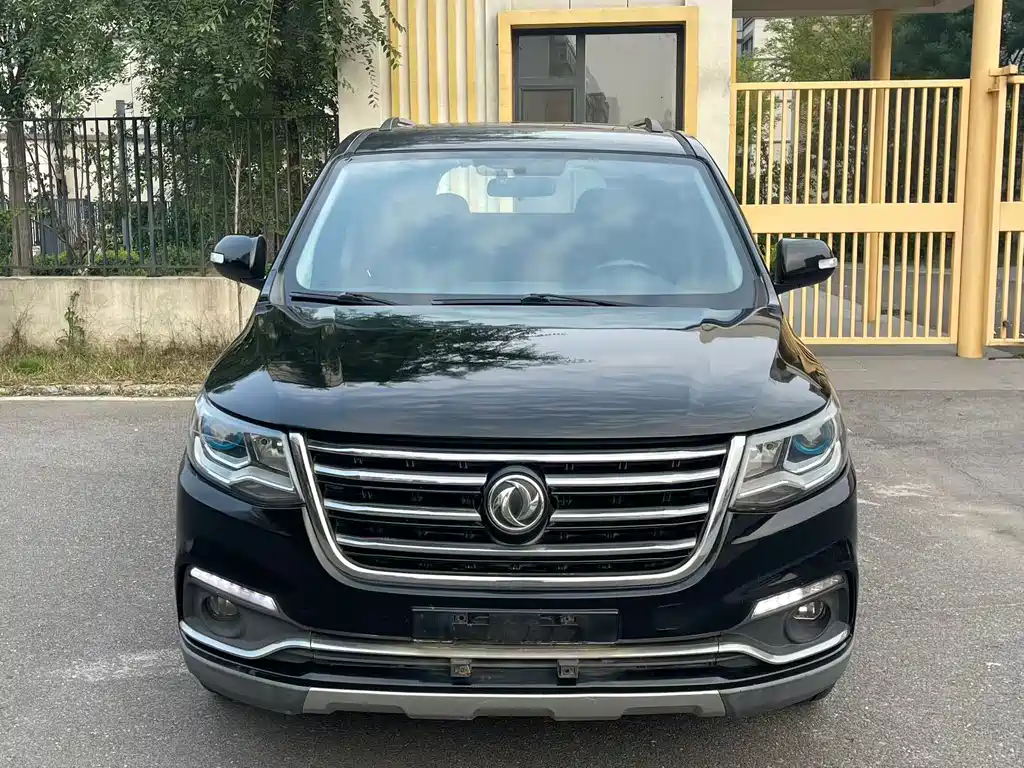 Fengxing Fengxing SX6 2016