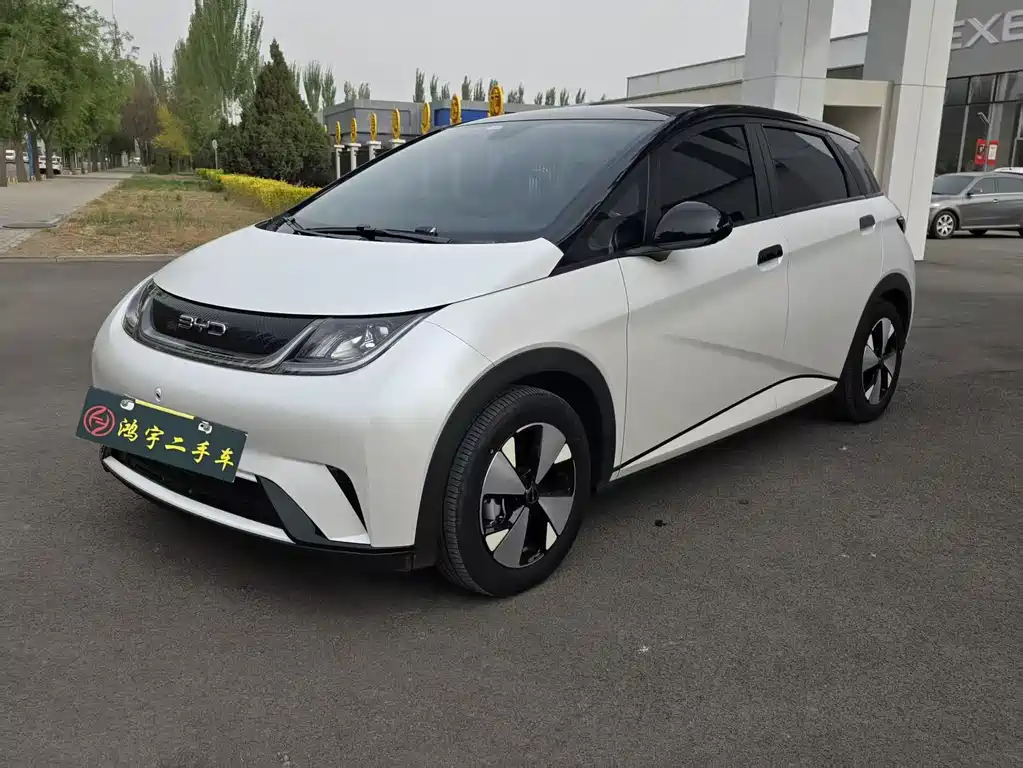 Byd Dolphin 2023