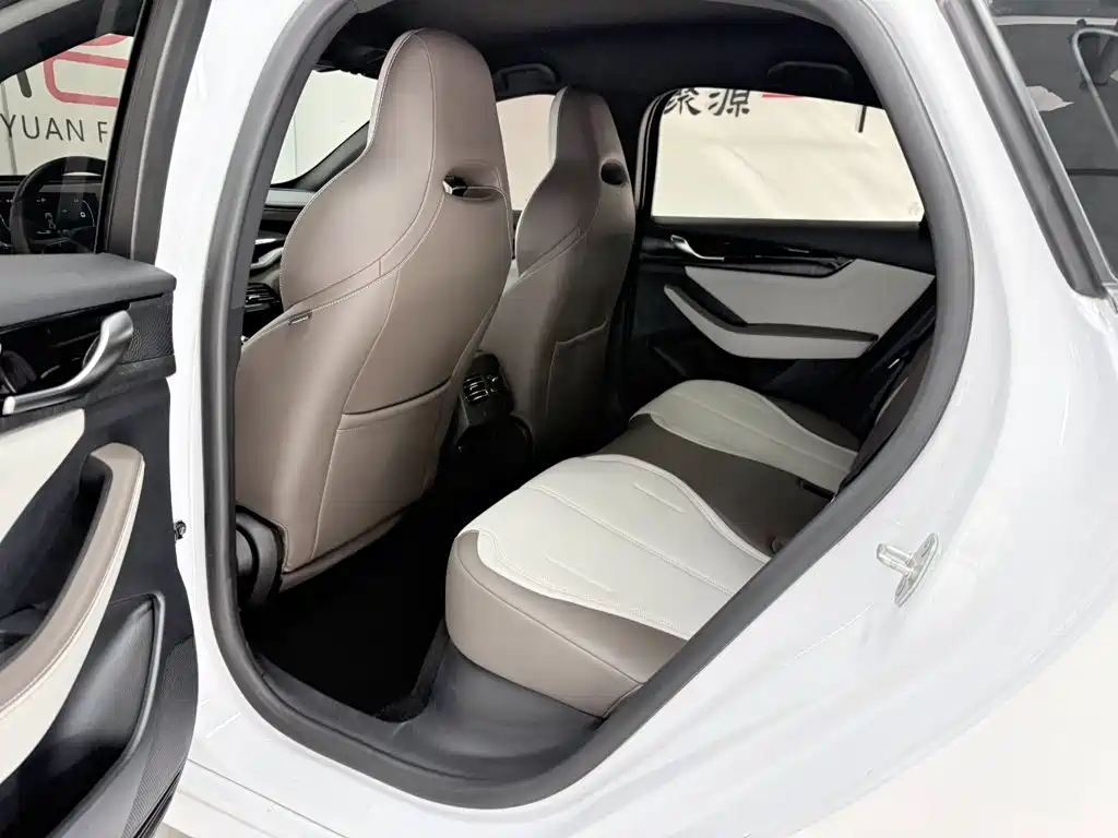 BYD Qin Plus 2024 — фото 10