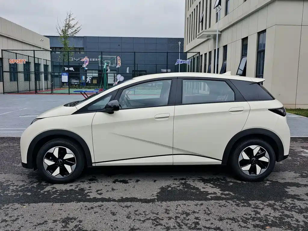BYD Dolphin 2025 420km Freedom
