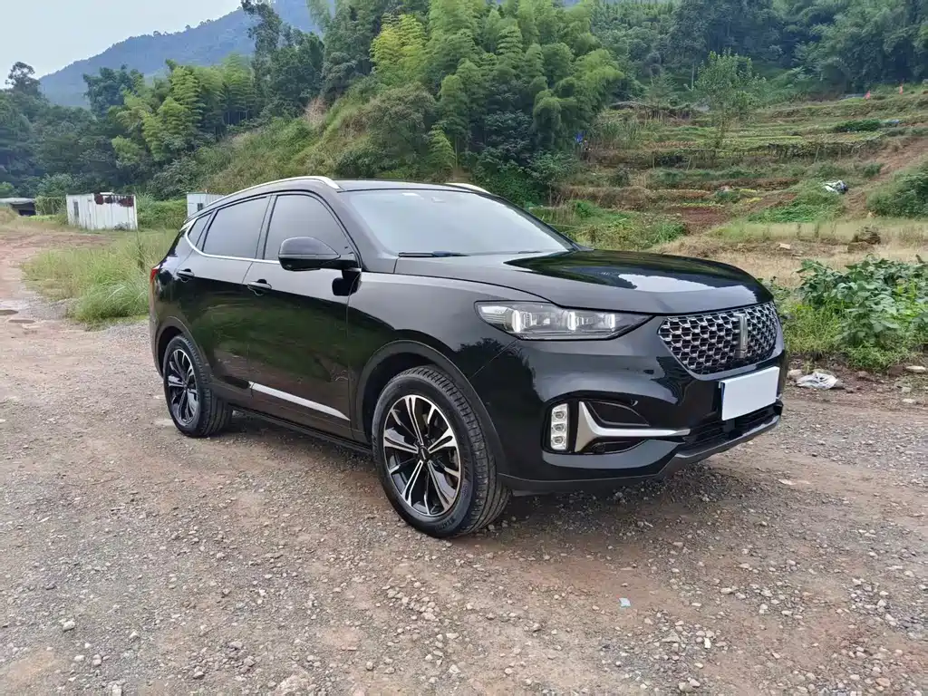 Wey Wey VV6 — миниатюра 3