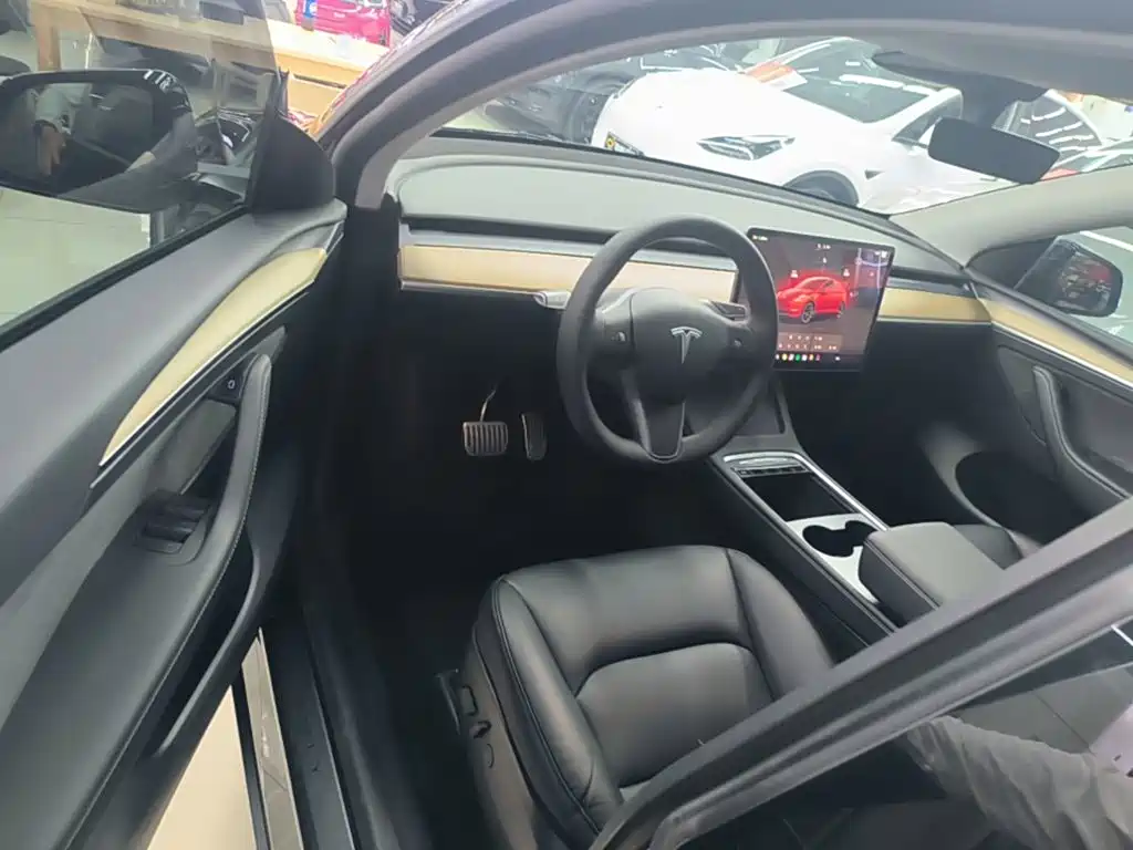Tesla Model Y — миниатюра 16