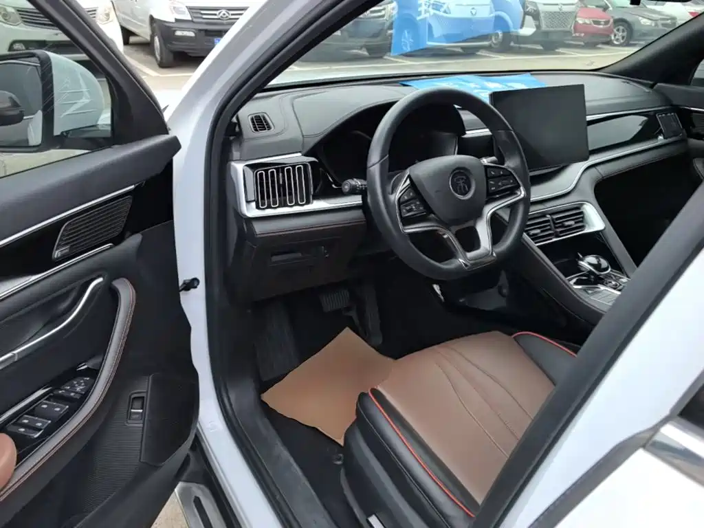 BYD PLUS — миниатюра 16