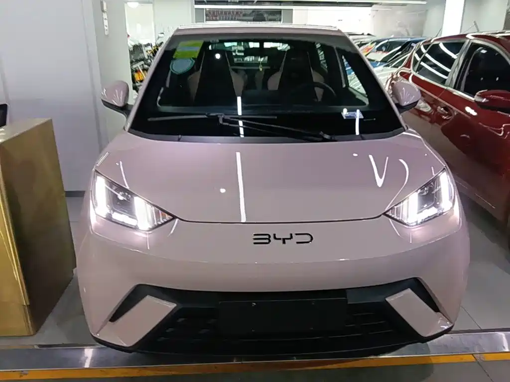 BYD Seagull 2024 305km Freedom