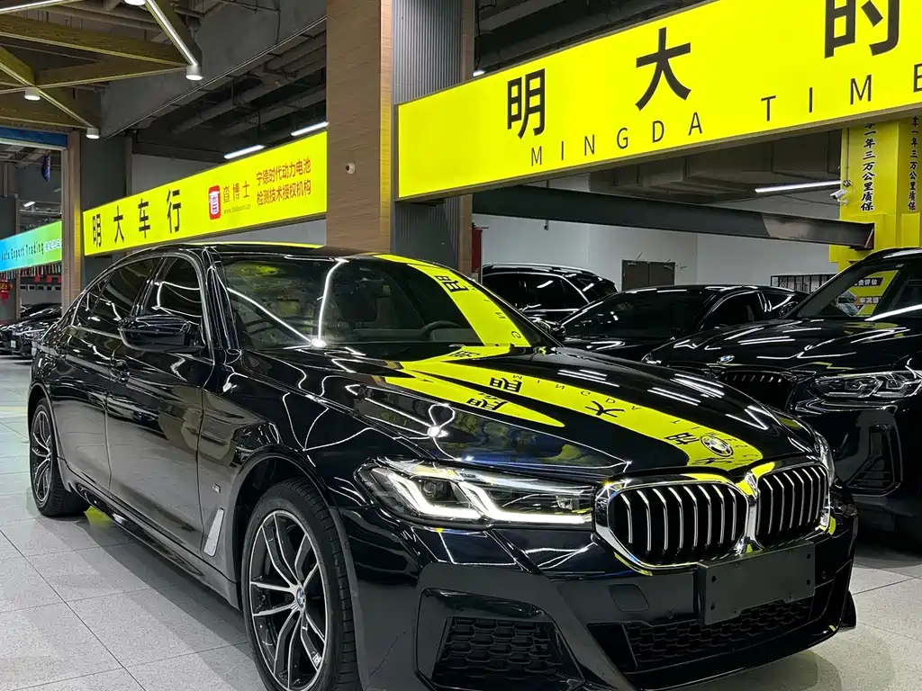 BMW 5 Series — миниатюра 8