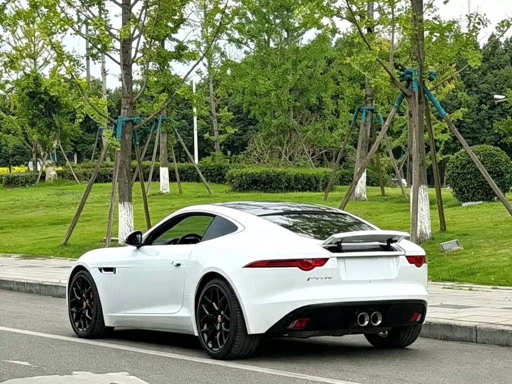 Jaguar F-TYPE — миниатюра 8