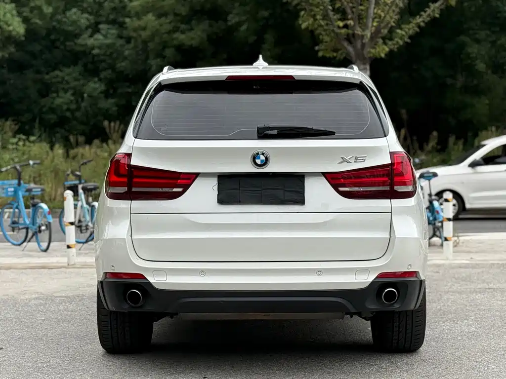 BMW X5 (Import) — миниатюра 5