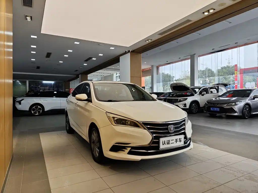 CHANGAN YIDONG DT